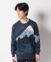 Desigual/風景モチーフ ハイゲージニットセーター/505805785