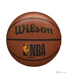 Wilson/NBA FORGE PLUS BSKT SZ7/505882747