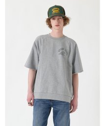 Levi's/カットオフ ラグラン Tシャツ グレーSURF CREW/505937757