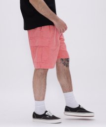 AVIREX(AVIREX)/PIGMENT 2TUCK CARGO SHORT PANTS / ピグメント ２タック カーゴ /ピンク