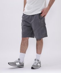 AVIREX(AVIREX)/PIGMENT 2TUCK CARGO SHORT PANTS / ピグメント ２タック カーゴ /チャコール