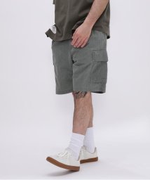 AVIREX(AVIREX)/PIGMENT 2TUCK CARGO SHORT PANTS / ピグメント ２タック カーゴ /オリーブ