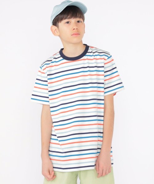 SHIPS KIDS(シップスキッズ)/SHIPS KIDS:140～160cm / オーガニック コットン ボーダー TEE/ホワイト