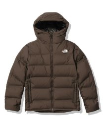 THE NORTH FACE/BELAYER PARKA (ビレイヤーパーカ)/505618638