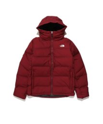 THE NORTH FACE/BELAYER PARKA (ビレイヤーパーカ)/505618639