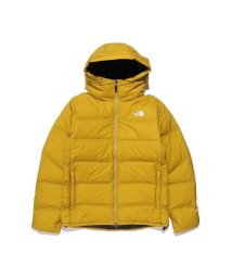 THE NORTH FACE/BELAYER PARKA (ビレイヤーパーカ)/505618640