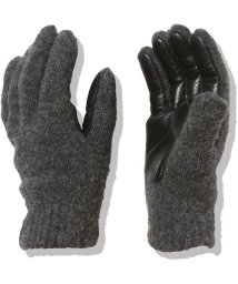 THE NORTH FACE/Wool Etip Glove (ウールイーチップグローブ)/505667471