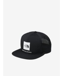 THE NORTH FACE/TECH LOGO CAP(テックロゴキャップ)/505807924