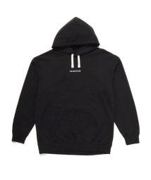 THE NORTH FACE/BOX LOGO HOODIE（ボックスロゴフーディー）/505672381