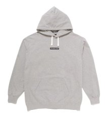 THE NORTH FACE/BOX LOGO HOODIE（ボックスロゴフーディー）/505672383