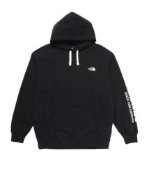 THE NORTH FACE/MESSAGE LOGO HOODIE（メッセージロゴフーディー）/505672385