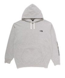 THE NORTH FACE/MESSAGE LOGO HOODIE（メッセージロゴフーディー）/505672388