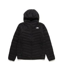 THE NORTH FACE/Thunder Hoodie (サンダーフーディ)/505672467