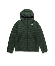 THE NORTH FACE/Thunder Hoodie (サンダーフーディ)/505672468