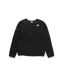 THE NORTH FACE/Thunder Roundneck Jacket (サンダーラウンドネックジャケット)/505672475