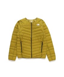 THE NORTH FACE/Thunder Roundneck Jacket (サンダーラウンドネックジャケット)/505672476