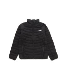 THE NORTH FACE/Thunder Jacket (サンダージャケット)/505672481