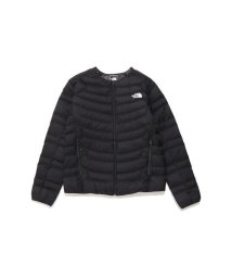 THE NORTH FACE/Thunder Roundneck Jacket (サンダーラウンドネックジャケット)/505672484