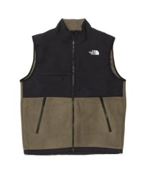 THE NORTH FACE/Denali Vest (デナリベスト)/505672615