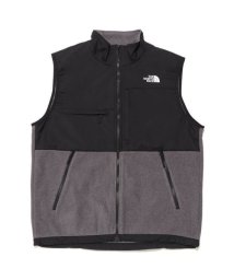 THE NORTH FACE/Denali Vest (デナリベスト)/505672616