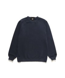 HELLY HANSEN/HH Bottle Back Sweat (HHボトルバックスウェット)/505672865