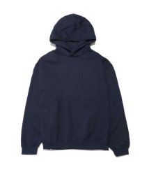 THE NORTH FACE/Rock Steady Hoodie (ロックステディフーディ)/505808154