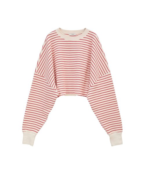 セール】THERMAL CROPPED TOPS(505945942) | クラネ(CLANE) - MAGASEEK