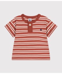 PETIT BATEAU(プチバトー)/ボーダー半袖Ｔシャツ/ブラウン