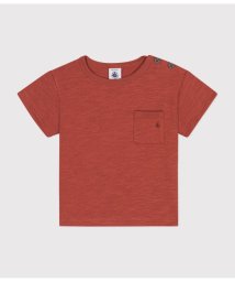 PETIT BATEAU/コットンプリント半袖Ｔシャツ/505952174