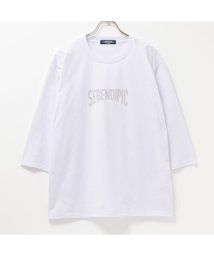 MAC HOUSE(men)(マックハウス（メンズ）)/T－GRAPHICS ティーグラフィックス カレッジ7分袖Tシャツ 432328MH/ホワイト