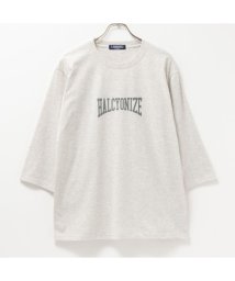 MAC HOUSE(men)(マックハウス（メンズ）)/T－GRAPHICS ティーグラフィックス カレッジ7分袖Tシャツ 432328MH/グレー