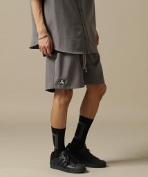 LHP(エルエイチピー)/WHITELAND/OWL/P－TECK SHORTS/グレー