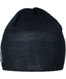 MAMMUT/MAMMUT マムート アウトドア Tweak Beanie 1191－01352 ニット帽 帽子 防寒 登山 1191/505956887