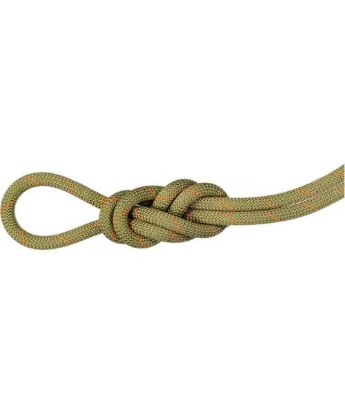 MAMMUT(マムート)/MAMMUT マムート アウトドア 9．9 Gym Workhorse Classic Rope 2010－04310 201004310/その他