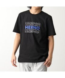 HERNO(ヘルノ)/HERNO 半袖 Tシャツ JG000195U 52000 ロゴ コットン/その他系1