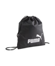 PUMA/ユニセックス プーマ フェイズ ジムサック 14L/505957404