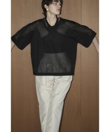 CLANE(クラネ)/SHEER  VNECK KNIT TOPS/BLACK