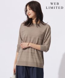 J.PRESS LADIES(J．プレス　レディス)/【WEB限定カラーあり・洗える】SILKY RAYON STRETCH ボーダー ニット/モカ系