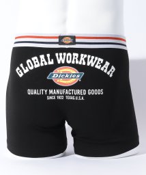 Dickies(Dickies)/Dickies Global Workwear logo/ブラック