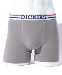 Dickies/Dickies Global Workwear logo/505938484