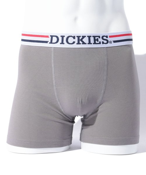 Dickies(Dickies)/Dickies Global Workwear logo/M・グレー