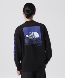 B'2nd/THE NORTH FACE (ザ・ノースフェイス）L/S Sleeve Graphic Tee/505940385