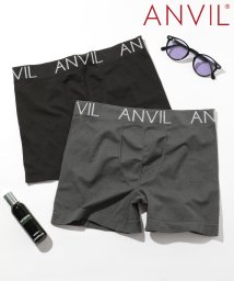 ANVIL(ANVIL)/【ANVIL】アンダーウェア メンズ ボクサーパンツ ロゴ ナイロン 下着 シンプル 無地 見せパン カラバリ 伸縮性 パンツ 肌着 インナー ANV73B2/その他5