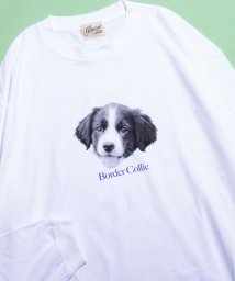 GLOSTER/【新柄追加】【GLOSTER/グロスター】DOG&CAT 犬猫プリントロンT/505969561