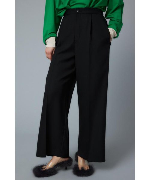 HeRIN.CYE(ヘリンドットサイ)/Center press wide pants/BLK