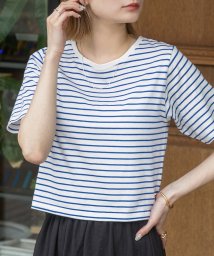 ad thie(アドティエ)/シンプル無地 ボーダー ショート丈ミニTシャツ/ブルー