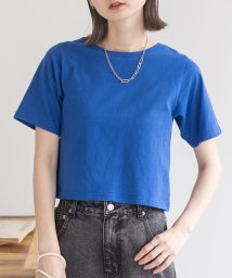 ad thie/シンプル無地 ボーダー ショート丈ミニTシャツ/505938003