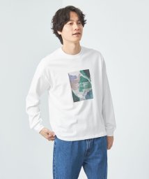 green label relaxing(グリーンレーベルリラクシング)/＜Phospho Graphica＞グラフィック ロングスリーブ Tシャツ/その他1