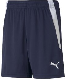 PUMA/PUMA プーマ サッカー TEAMLIGA ゲームパンツ JR 705145 06/505974550