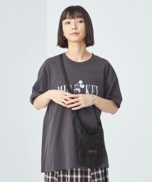 green label relaxing(グリーンレーベルリラクシング)/【別注】＜BRIEFING＞GLR リップストップ デイ トリッパー ミニ ショルダー バッグ/BLACK